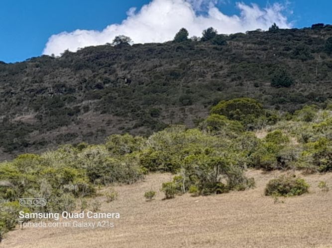 Lote en venta en Montana, Sopó, 10000 m² · foto 11 de 15