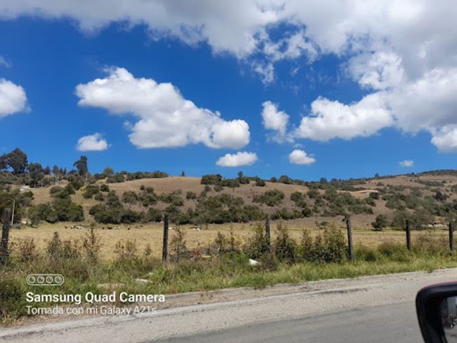 Lote en venta en Montana, Sopó, 10000 m² · foto 15 de 15