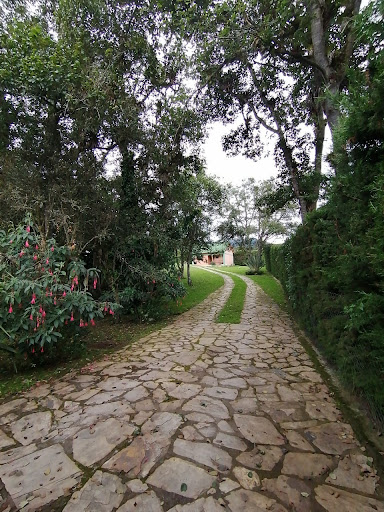 Casa en venta en Vereda El Salitre, La Calera · foto 4 de 17