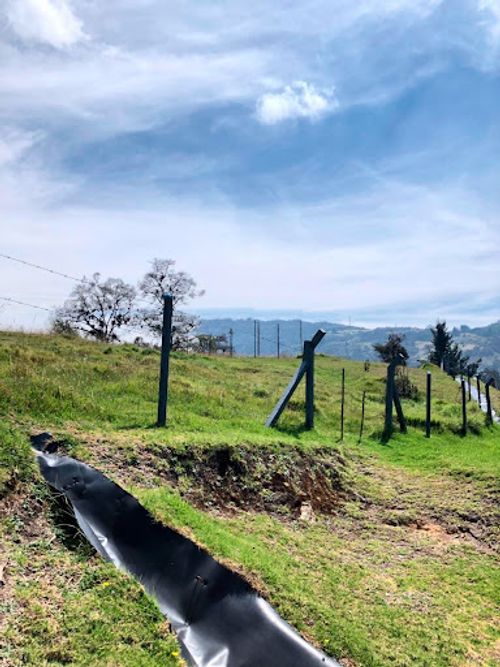 Lote en venta en Vereda El Salitre, La Calera, 9378 m² · foto 3 de 4