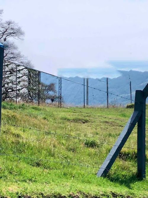 Lote en venta en Vereda El Salitre, La Calera, 9378 m² · foto 4 de 4