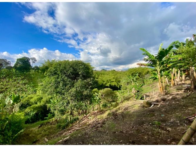 Finca en venta en Puerto Espejo, Armenia, 200 m² · foto 7 de 7