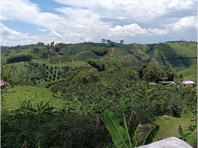 Finca en venta en Arabia, Pereira, 100 m² · foto 2 de 16