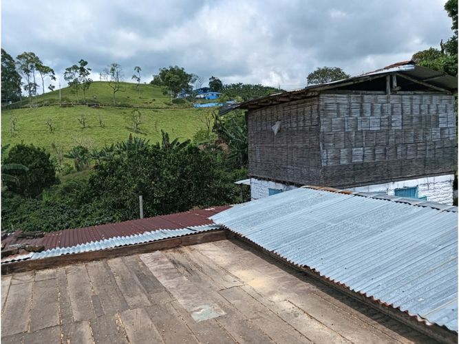 Finca en venta en Arabia, Pereira, 100 m² · foto 3 de 16