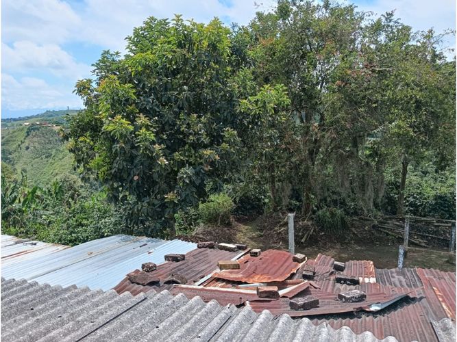 Finca en venta en Arabia, Pereira, 100 m² · foto 4 de 16