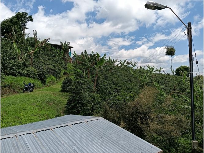 Finca en venta en Arabia, Pereira, 100 m² · foto 5 de 16