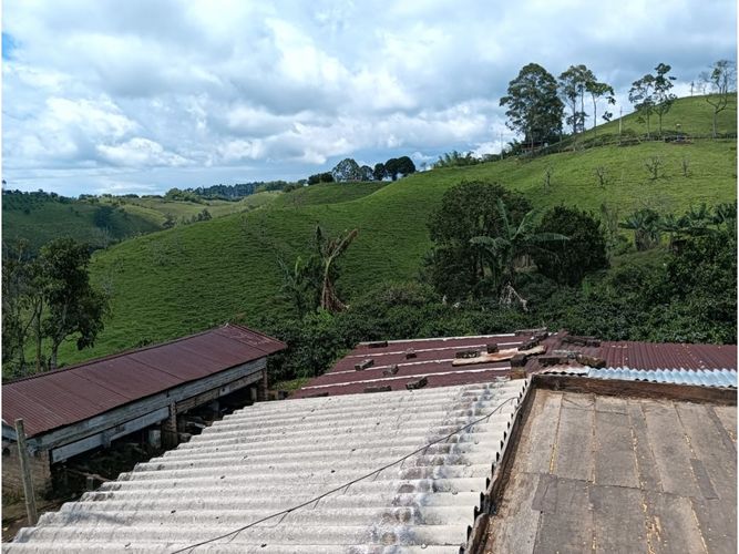 Finca en venta en Arabia, Pereira, 100 m² · foto 8 de 16