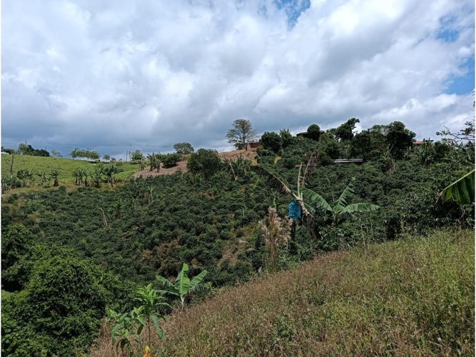 Finca en venta en Arabia, Pereira, 100 m² · foto 10 de 16
