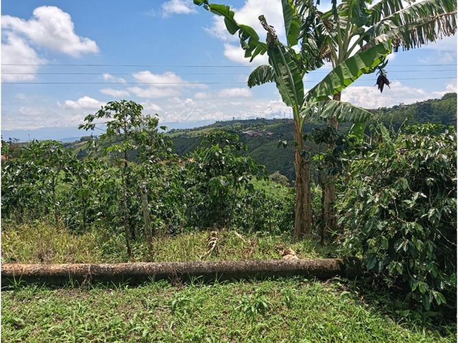 Finca en venta en Arabia, Pereira, 100 m² · foto 12 de 16