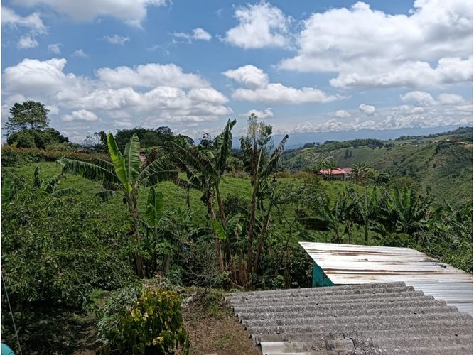 Finca en venta en Arabia, Pereira, 100 m² · foto 13 de 16