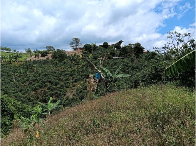 Finca en venta en Arabia, Pereira, 100 m² · foto 16 de 16