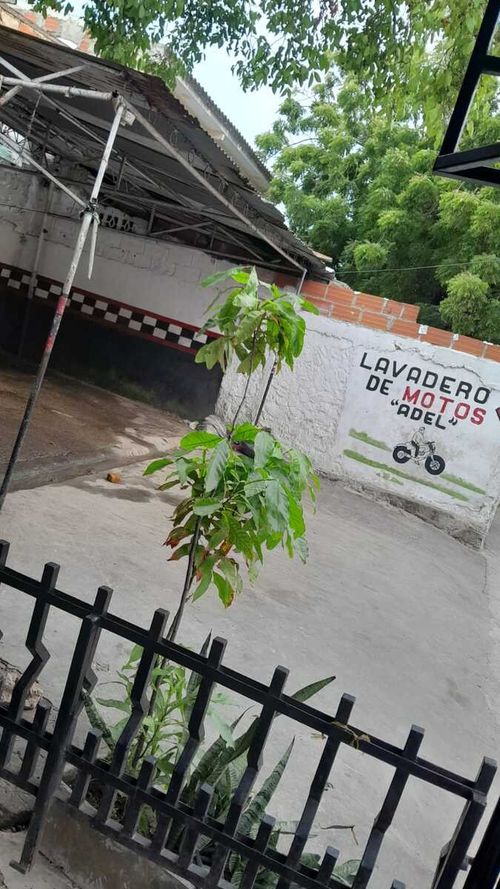 Lote en venta en Zaragocilla, Cartagena, 91 m² · foto 9 de 11