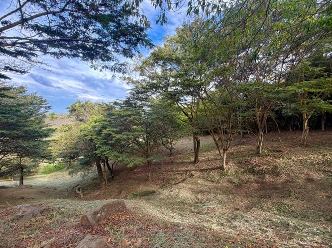 Lote en venta en Medio Dapa, Yumbo, 4501 m² · foto 8 de 18