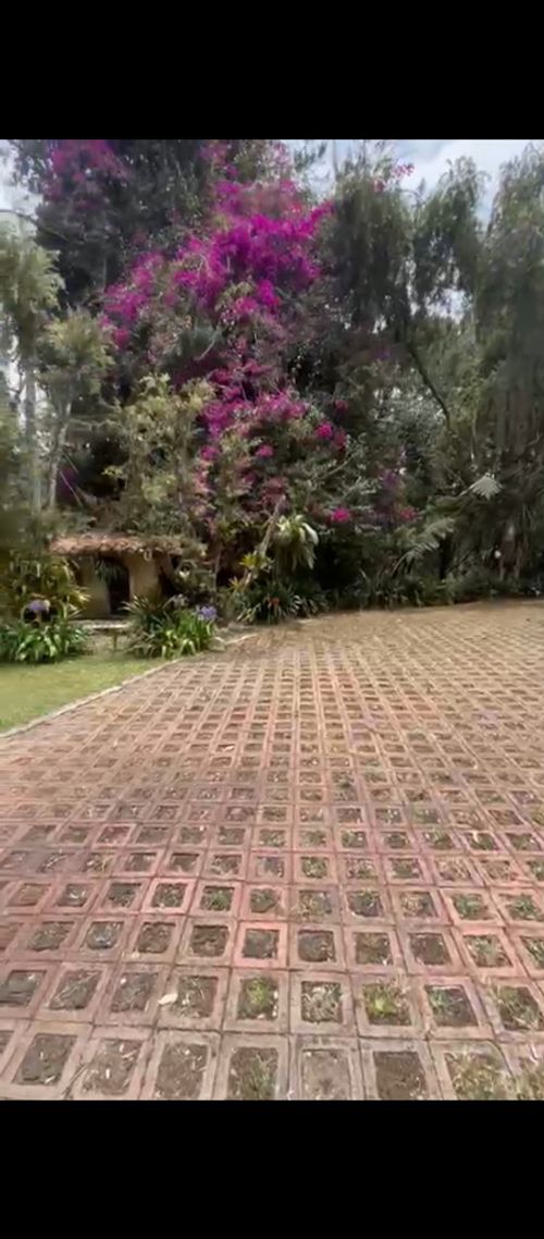 Finca en arriendo en Santa Elena, El Retiro, 500 m² · foto 19 de 19