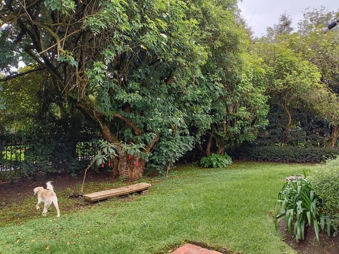 Casa de 3 alcobas en venta en San Simón, Bogotá, 343 m² · foto 13 de 24