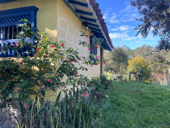 Casa de 4 alcobas en venta en La Ceja, 300 m² · foto 7 de 22
