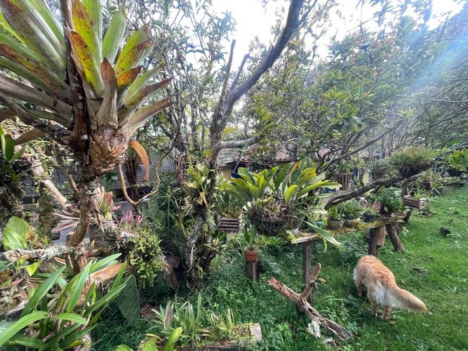 Casa de 4 alcobas en venta en La Ceja, 300 m² · foto 20 de 22