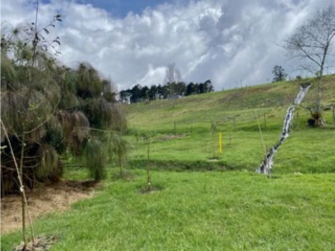 Lote en venta en Las Palmas, Envigado, 2307 m² · foto 2 de 13