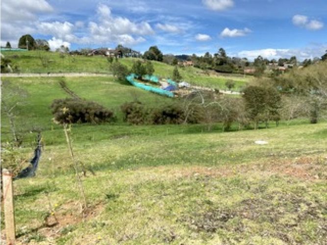 Lote en venta en Las Palmas, Envigado, 2307 m² · foto 7 de 13