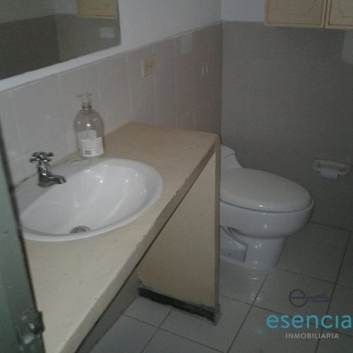 Casa de 4 alcobas en arriendo en Rosales, Medellín, 256 m² · foto 10 de 15