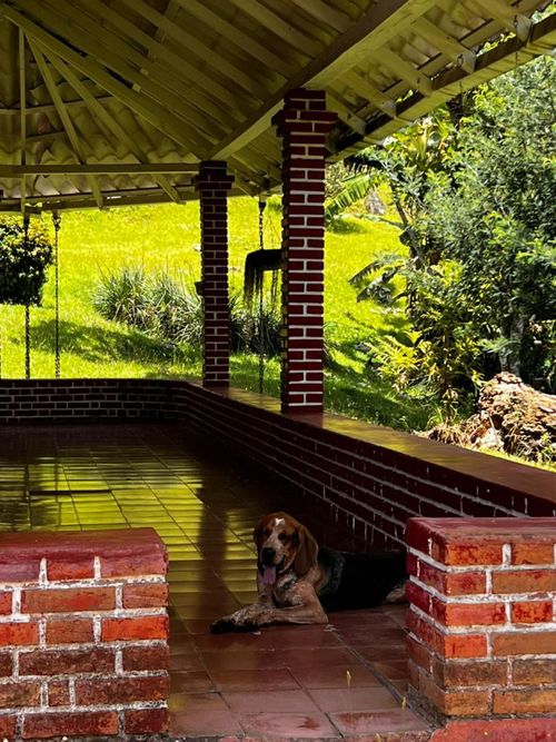 Finca en arriendo en Sajonia, Rionegro, 140 m² · foto 24 de 24
