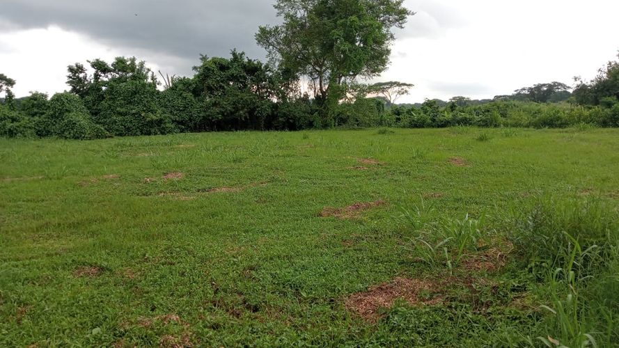 Lote en venta en Cartagena, 664 m² · foto 4 de 7