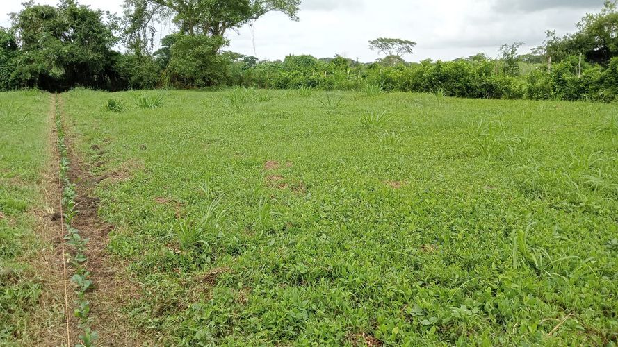 Lote en venta en Cartagena, 664 m² · foto 5 de 7