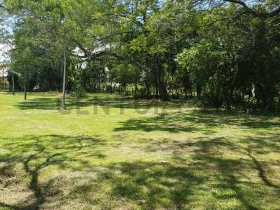 ¡OPORTUNIDAD ÚNICA EN PARAGUARÍ! Vendo amplio lote ideal para quinta o inversión — foto 2