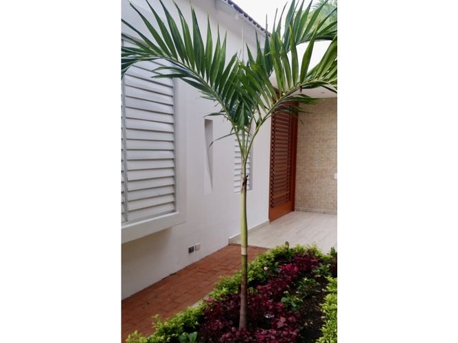 Casa de 4 alcobas en venta en Cn. Campestre El Peñon, Girardot, 314 m² · foto 10 de 12