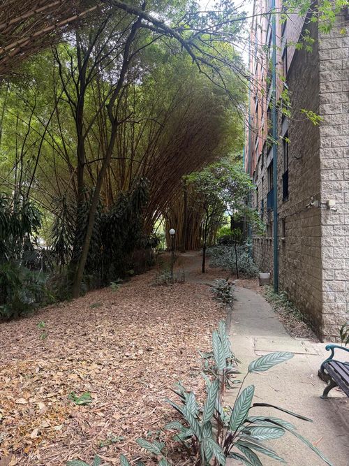 Apartamento de 2 alcobas en arriendo en Lalinde, Medellín, 102 m² · foto 16 de 19