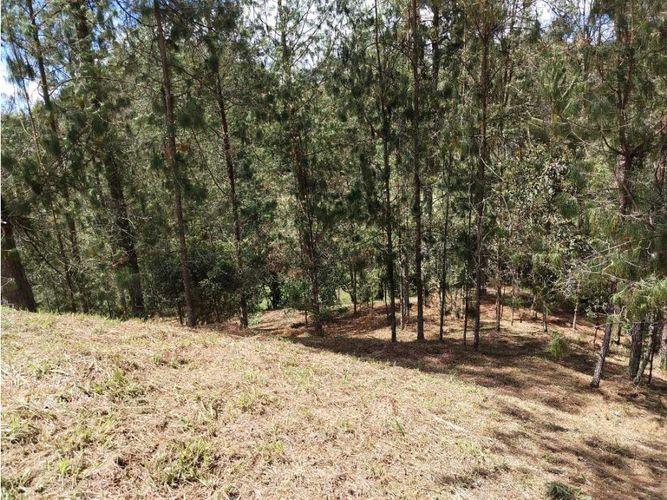 Lote en venta en Don Diego, El Retiro, 9639 m² · foto 3 de 5