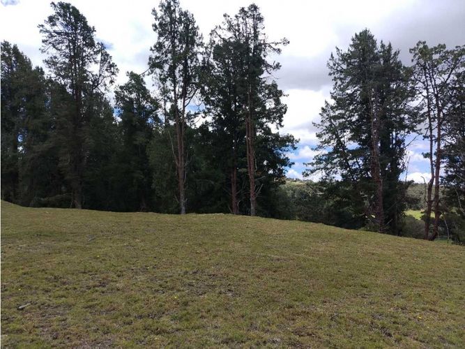 Lote en venta en Las Palmas, Envigado, 5392 m² · foto 2 de 5