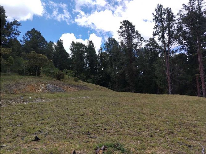 Lote en venta en Las Palmas, Envigado, 5392 m² · foto 3 de 5