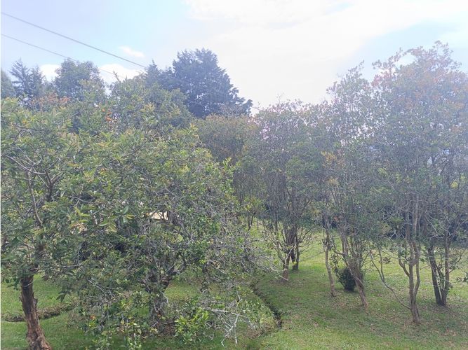 Finca en venta en La Quiebra, Rionegro, 250 m² · foto 9 de 24