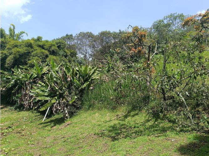 Finca en venta en La Quiebra, Rionegro, 250 m² · foto 10 de 24