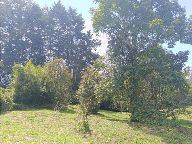 Finca en venta en La Quiebra, Rionegro, 250 m² · foto 11 de 24