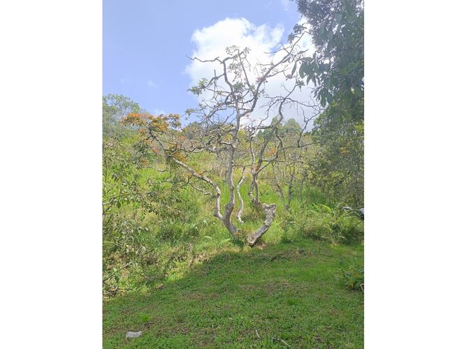 Finca en venta en La Quiebra, Rionegro, 250 m² · foto 12 de 24