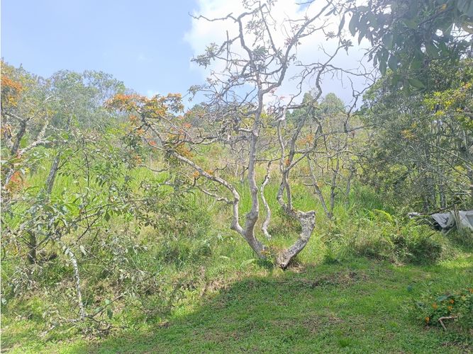 Finca en venta en La Quiebra, Rionegro, 250 m² · foto 14 de 24