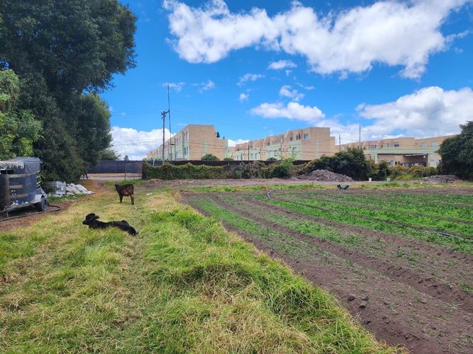 Lote en venta en El Abra, Cota, 6400 m² · foto 4 de 5