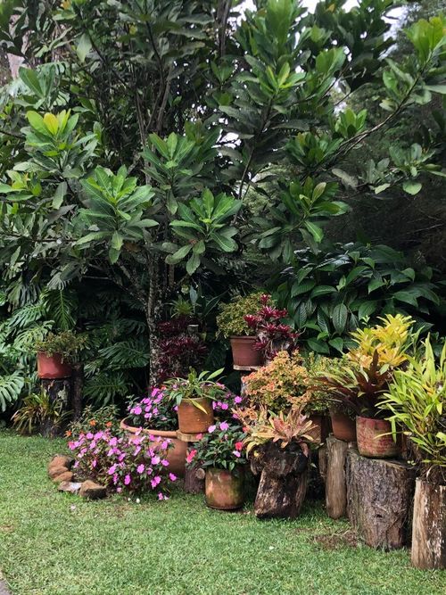 Casa de 4 alcobas en venta en El Saladito, Cali, 410 m² · foto 14 de 15