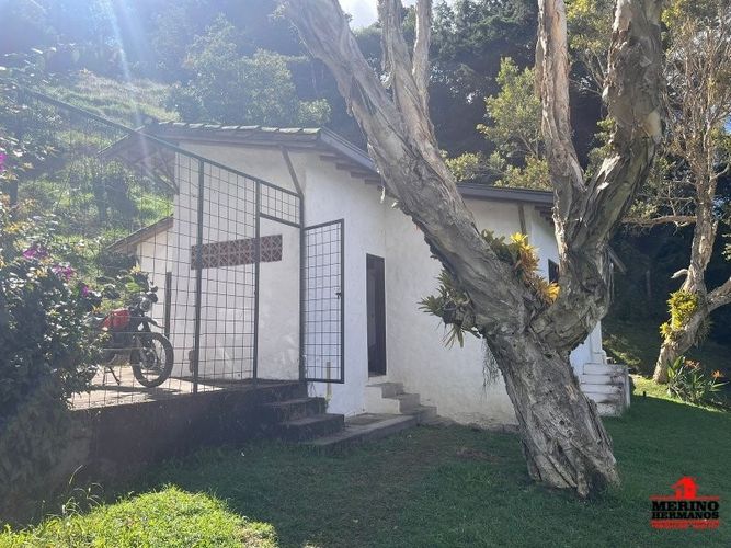 Finca en arriendo en Centro, Rionegro, 280 m² · foto 7 de 18