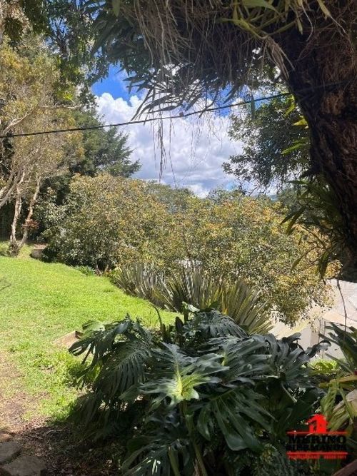 Finca en arriendo en Centro, Rionegro, 280 m² · foto 14 de 18
