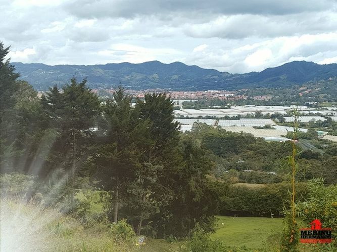 Finca en arriendo en Centro, Rionegro, 280 m² · foto 15 de 18