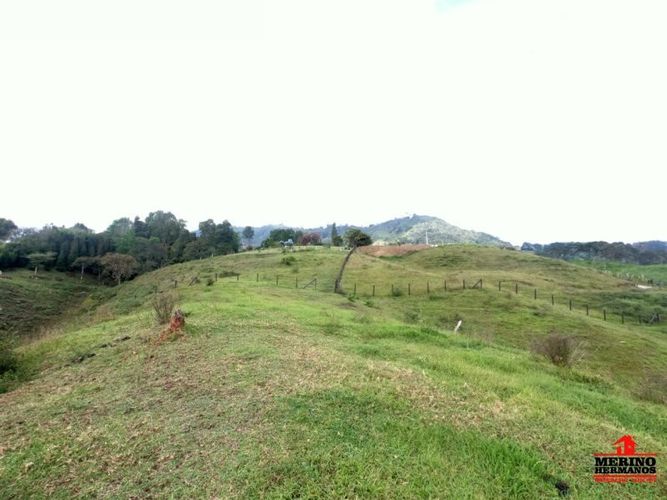 Lote en venta en Centro, Rionegro, 5500 m² · foto 2 de 12