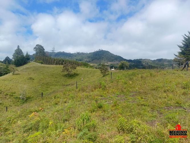Lote en venta en Centro, Rionegro, 5500 m² · foto 5 de 12