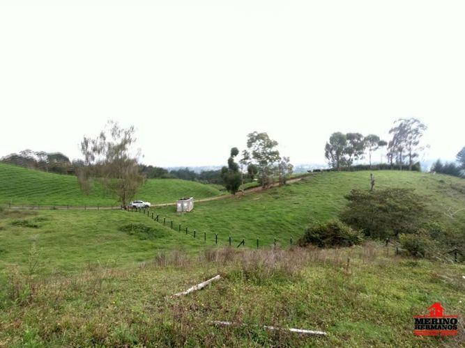 Lote en venta en Centro, Rionegro, 5500 m² · foto 6 de 12
