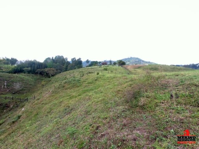Lote en venta en Centro, Rionegro, 5500 m² · foto 7 de 12