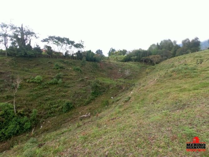 Lote en venta en Centro, Rionegro, 5500 m² · foto 8 de 12