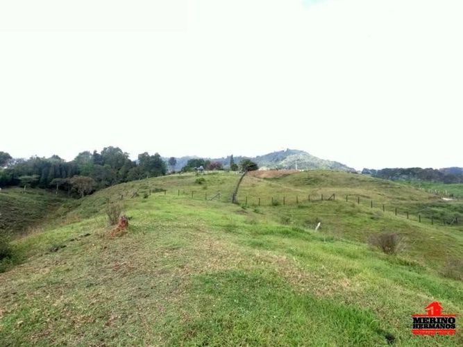 Lote en venta en Centro, Rionegro, 5500 m² · foto 9 de 12