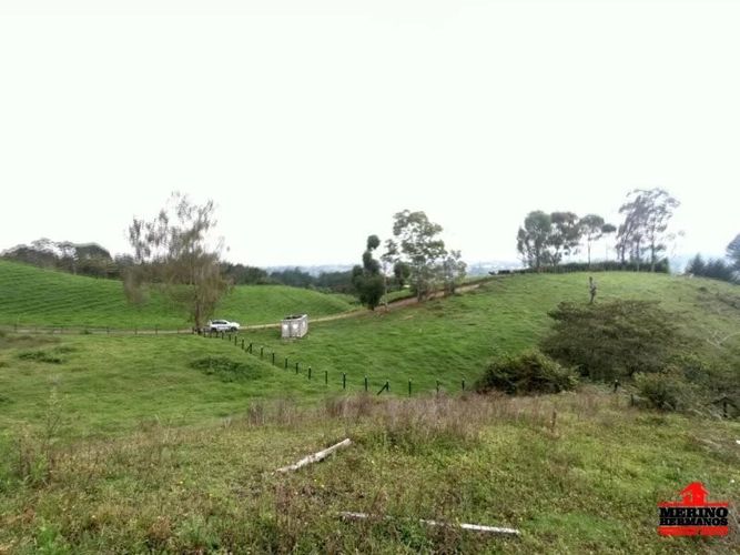 Lote en venta en Centro, Rionegro, 5500 m² · foto 11 de 12